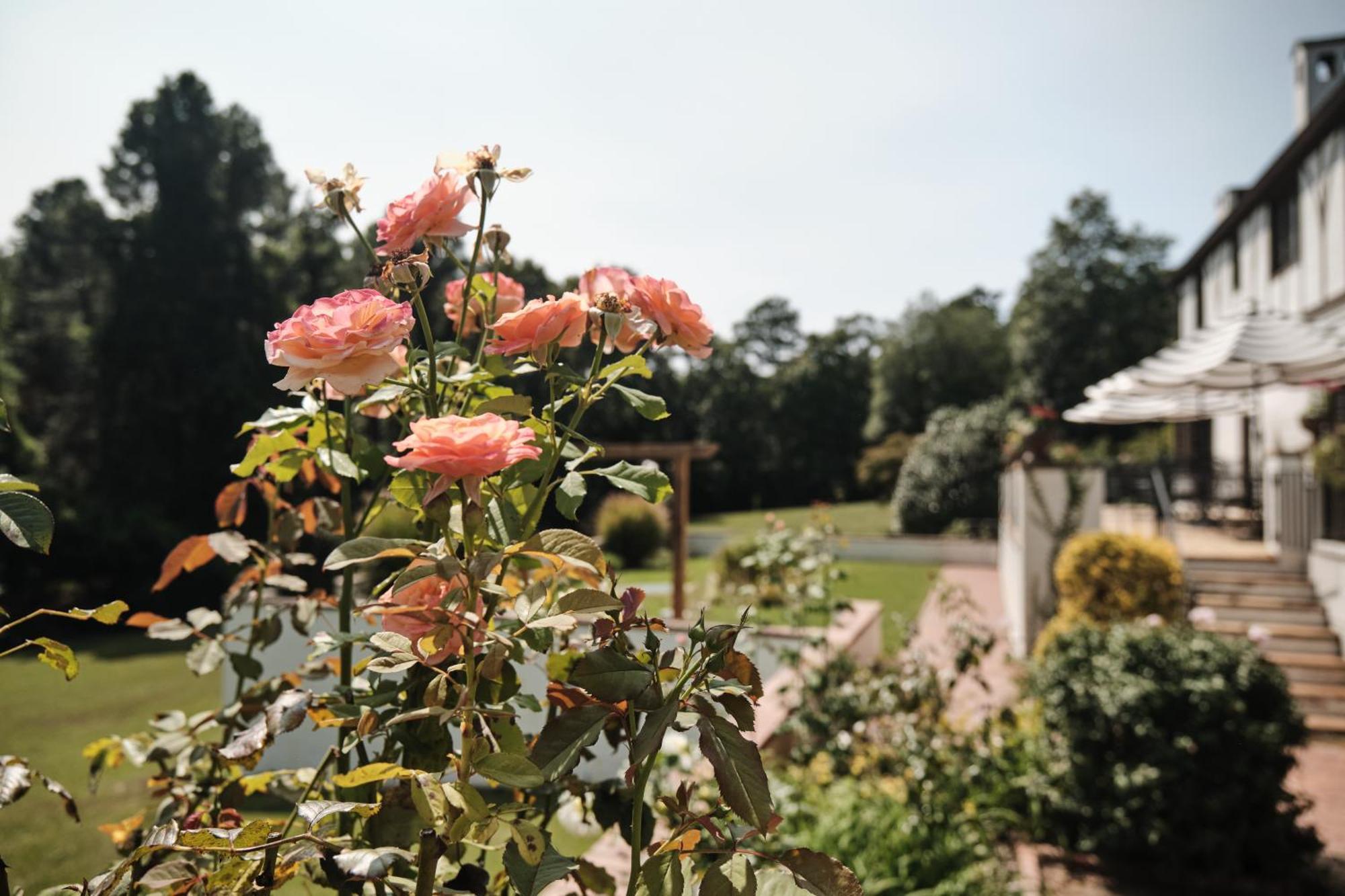 Duncraig Manor Bed & Breakfast เซาเธิร์นไพนส์ ภายนอก รูปภาพ